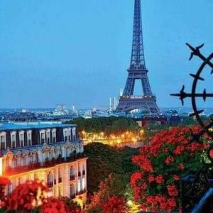 Meet your Posher, Delores